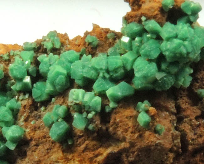 Torbernite from South Terras Mine, South Shaft Dump, St. Stephen-in-Brannel, Cornwall, England