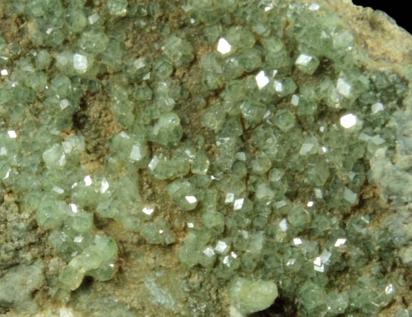 Andradite var. Demantoid Garnet from New Idria District, San Benito County, California