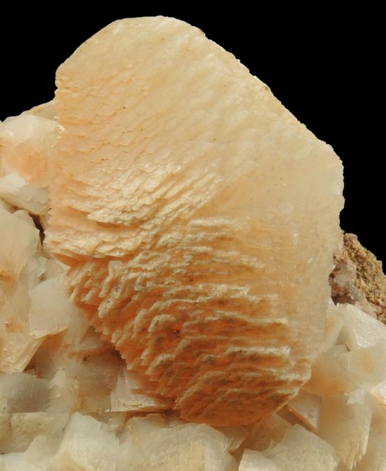 Calcite (twinned crystals) on Calcite from Taff's Well Quarry, 9 km northwest of Cardiff, Pentyrch, MidGlamorgan, Wales