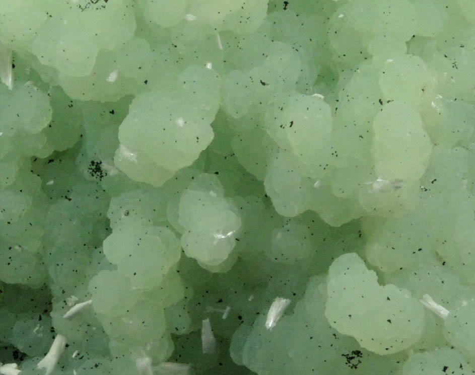 Prehnite pseudomorphs after Anhydrite with Laumontite from New Street Quarry, Paterson, Passaic County, New Jersey