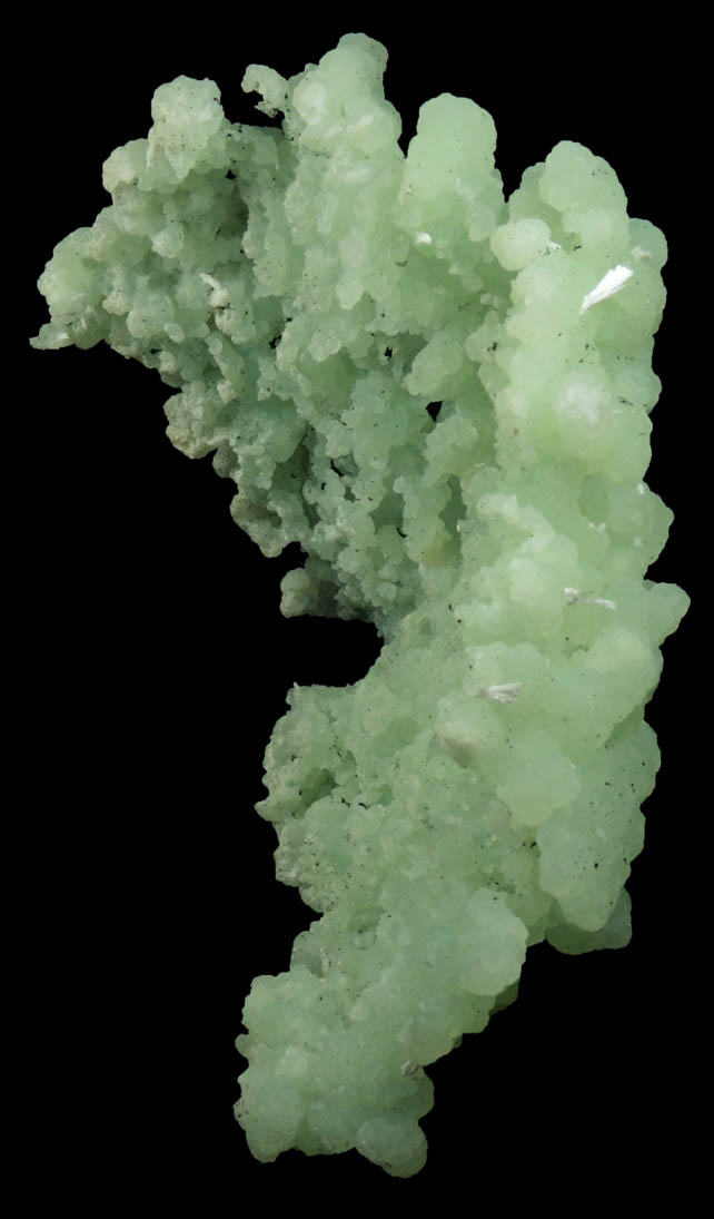 Prehnite pseudomorphs after Anhydrite with Laumontite from New Street Quarry, Paterson, Passaic County, New Jersey