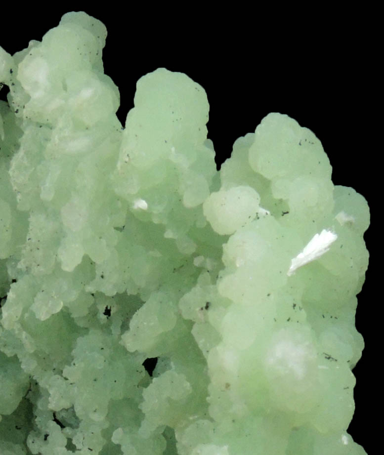 Prehnite pseudomorphs after Anhydrite with Laumontite from New Street Quarry, Paterson, Passaic County, New Jersey