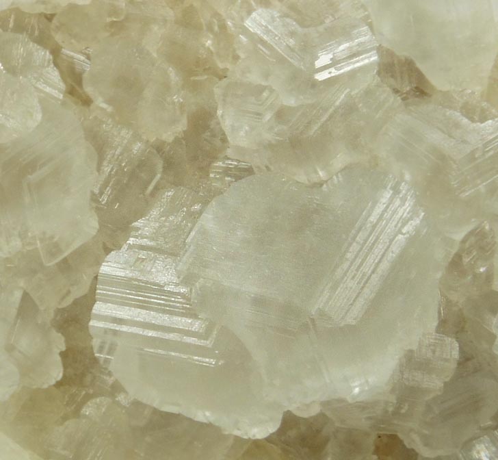 Calcite from Carlile Shale formation (Cretaceous), near La Junta, Otero County, Colorado