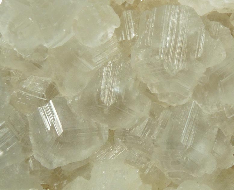 Calcite from Carlile Shale formation (Cretaceous), near La Junta, Otero County, Colorado