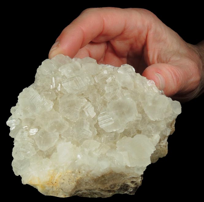 Calcite from Carlile Shale formation (Cretaceous), near La Junta, Otero County, Colorado