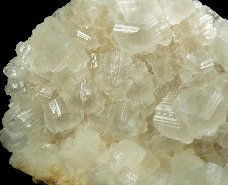 Calcite from Carlile Shale formation (Cretaceous), near La Junta, Otero County, Colorado