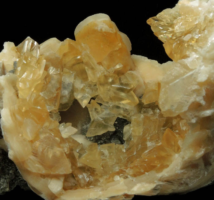 Calcite in fossilized clam from Ruck's Pit Quarry, Fort Drum, Okeechobee County, Florida