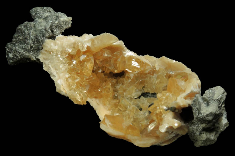 Calcite in fossilized clam from Ruck's Pit Quarry, Fort Drum, Okeechobee County, Florida