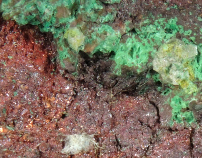 Copper with Malachite from Keweenaw Peninsula Copper District, Michigan