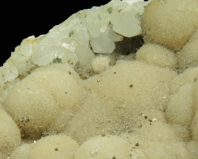 Pectolite with Pyrite and Calcite from Millington Quarry, Bernards Township, Somerset County, New Jersey