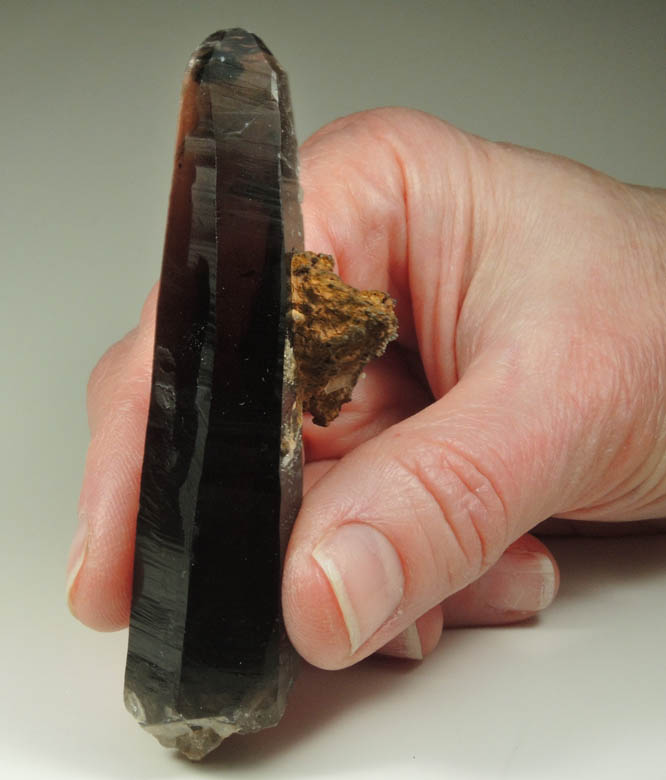 Quartz var. Smoky Quartz (Dauphin Law twins) with Goethite pseudomorph after Siderite from Lake George District, Park County, Colorado