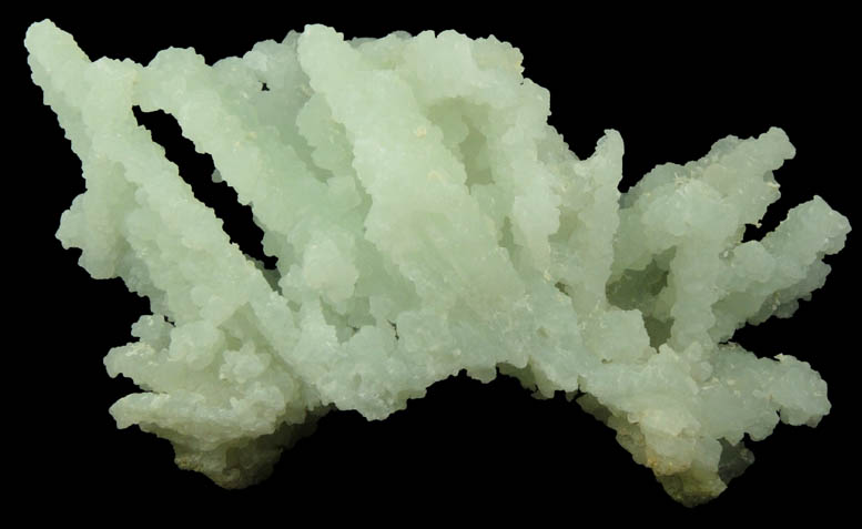 Prehnite pseudomorphs after Laumontite with Apophyllite from Mumbai District, Maharashtra, India