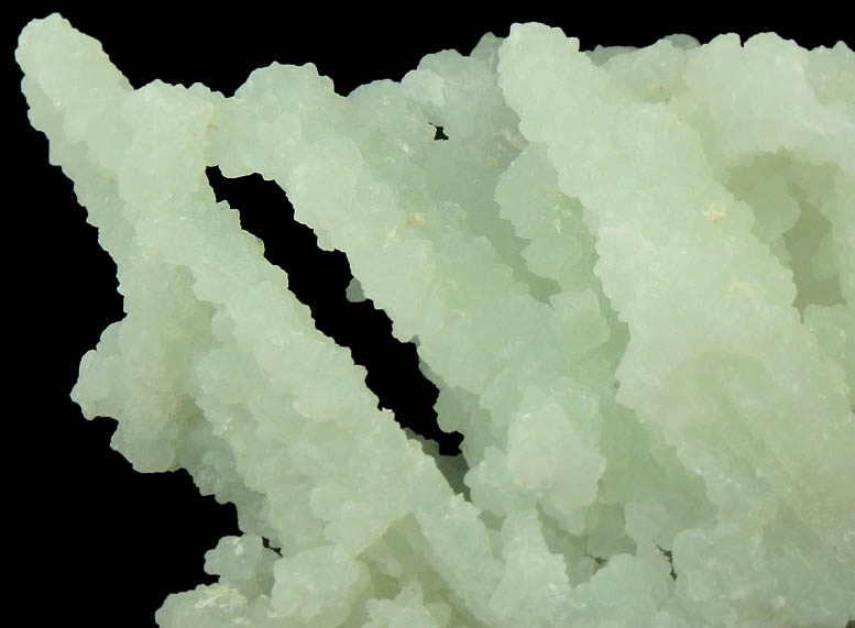 Prehnite pseudomorphs after Laumontite with Apophyllite from Mumbai District, Maharashtra, India