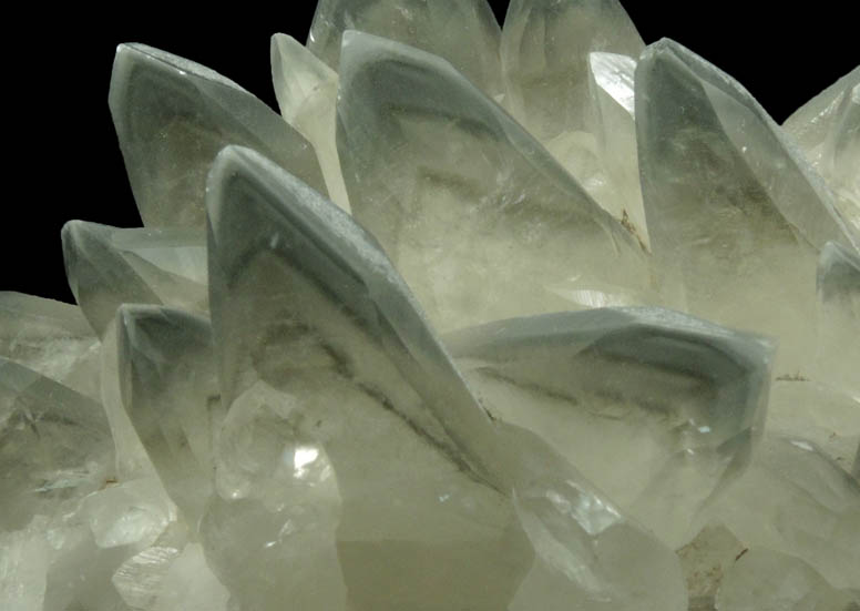 Calcite with Marcasite phantom-growth zones from Vulcan Quarry, Racine, Racine County, Wisconsin