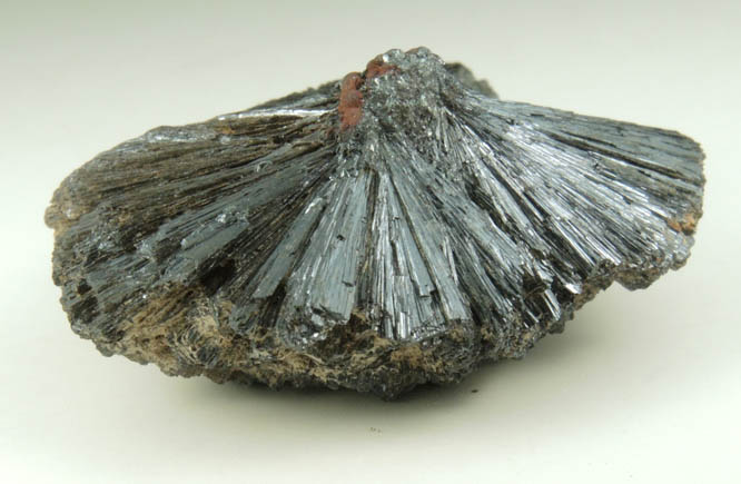 Goethite from Mile Hi Rock and Mineral Society (RAMS) Claim, Lake George District, Park County, Colorado