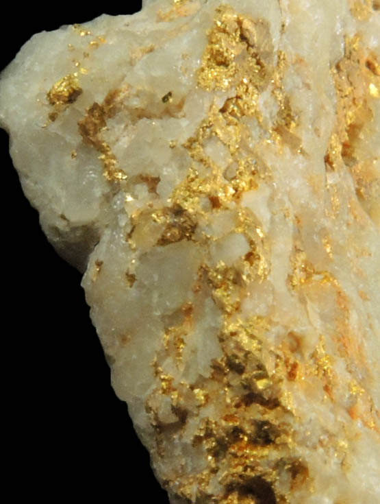 Gold in Quartz from Giant Mine, near Lincoln, Clark County, Montana