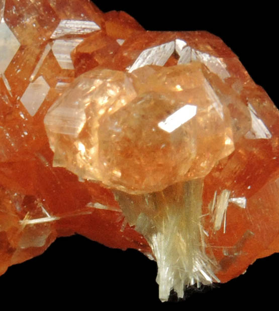 Grossular Garnet from Jeffrey Mine, Asbestos, Qubec, Canada