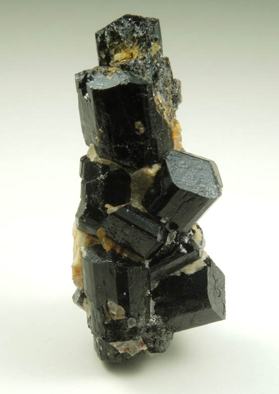 Schorl Tourmaline from Timm's Hill, Haddam, Middlesex County, Connecticut