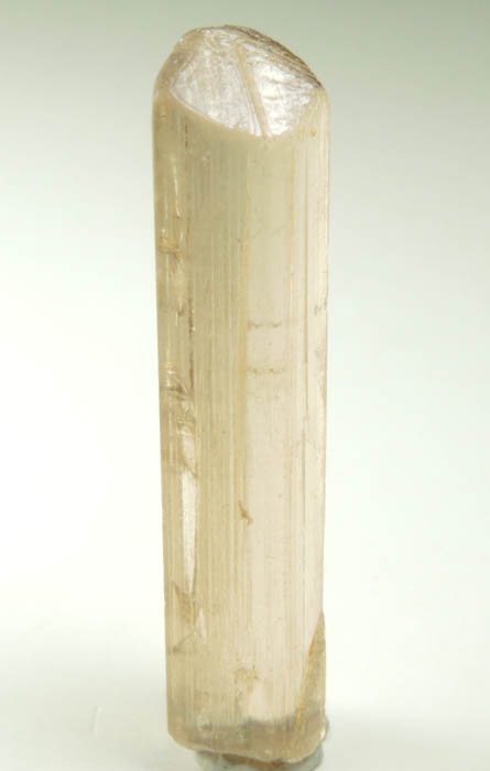 Scapolite (Marialite-Meionite) from Morogoro District, Uluguru Mountains, Tanzania