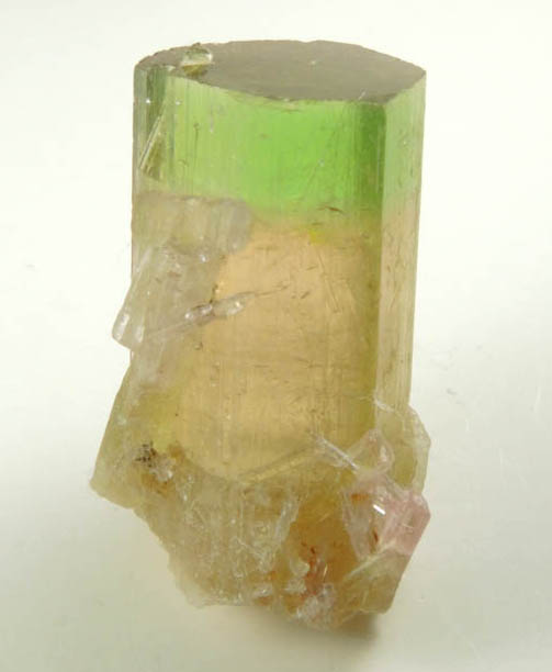 Elbaite Tourmaline from Himalaya Mine, Mesa Grande District, San Diego County, California