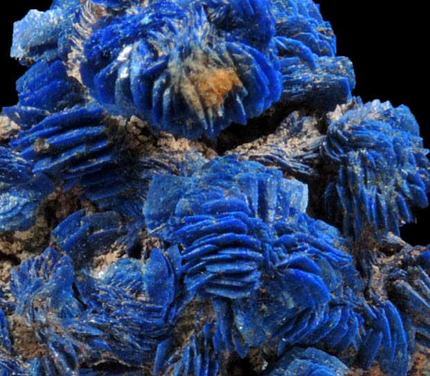 Azurite from Touissit Mine, 21 km SSE of Oujda, Jerada Province, Oriental, Morocco