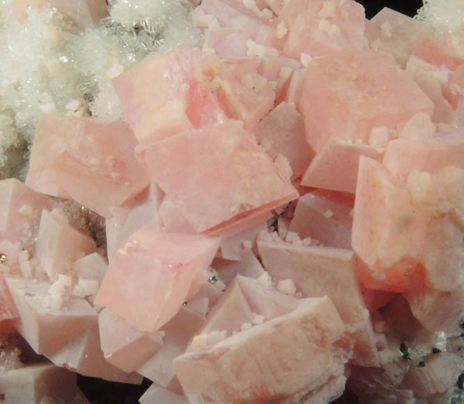 Rhodochrosite on Quartz with minor Pyrite from Silverton District, San Juan County, Colorado