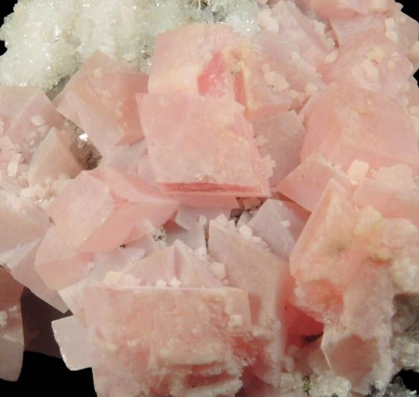 Rhodochrosite on Quartz with minor Pyrite from Silverton District, San Juan County, Colorado