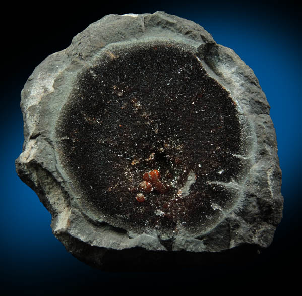 Siderite nodule from Baltimore County, Maryland