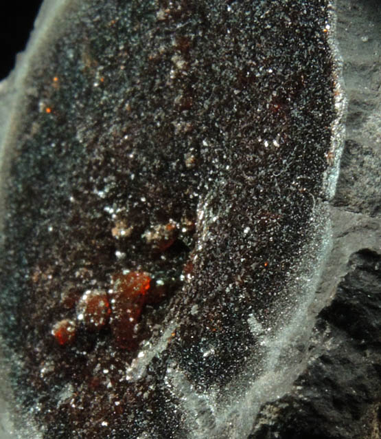 Siderite nodule from Baltimore County, Maryland
