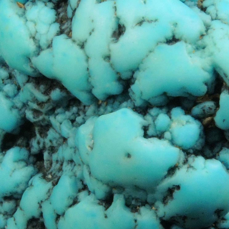 Turquoise from Black Widow Mine, Tonopah, Nye County, Nevada