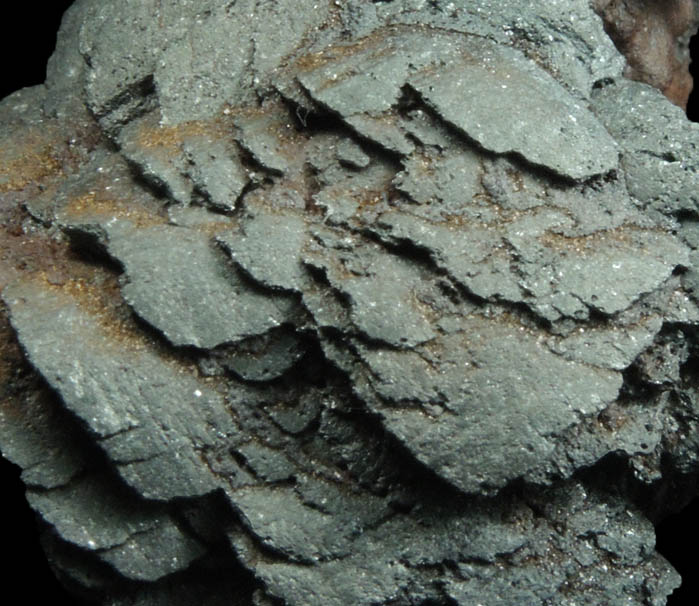 Hematite pseudomorphs after Siderite from Lake George District, Park County, Colorado