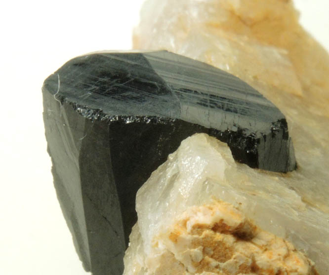 Schorl Tourmaline in Quartz from Bald Mountain road cut, 9200' elevation, north of Idaho Springs, Clear Creek County, Colorado