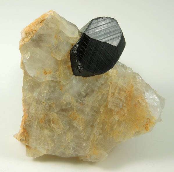 Schorl Tourmaline in Quartz from Bald Mountain road cut, 9200' elevation, north of Idaho Springs, Clear Creek County, Colorado