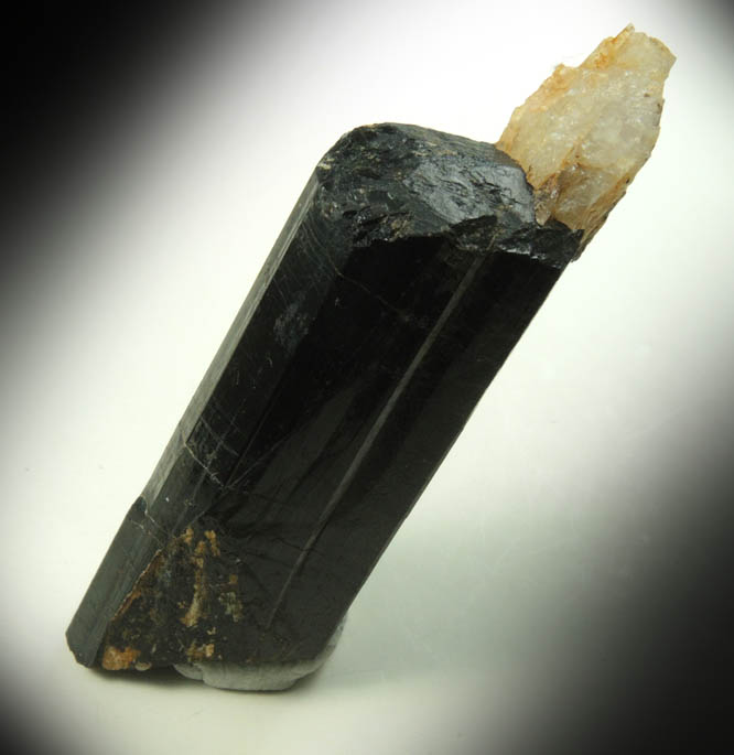 Schorl Tourmaline with minor Quartz from Bald Mountain road cut, 9200' elevation, north of Idaho Springs, Clear Creek County, Colorado