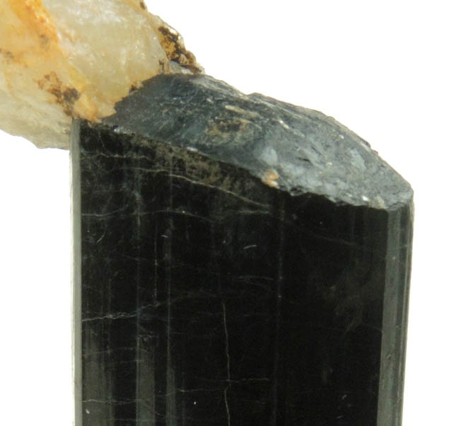 Schorl Tourmaline with minor Quartz from Bald Mountain road cut, 9200' elevation, north of Idaho Springs, Clear Creek County, Colorado