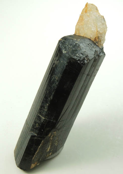 Schorl Tourmaline with minor Quartz from Bald Mountain road cut, 9200' elevation, north of Idaho Springs, Clear Creek County, Colorado
