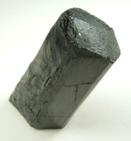 Schorl Tourmaline from Bald Mountain road cut, 9200' elevation, north of Idaho Springs, Clear Creek County, Colorado