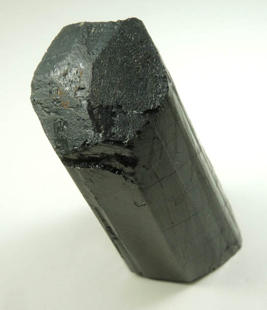 Schorl Tourmaline from Bald Mountain road cut, 9200' elevation, north of Idaho Springs, Clear Creek County, Colorado