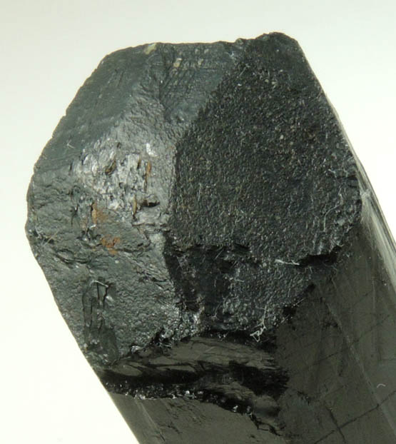 Schorl Tourmaline from Bald Mountain road cut, 9200' elevation, north of Idaho Springs, Clear Creek County, Colorado