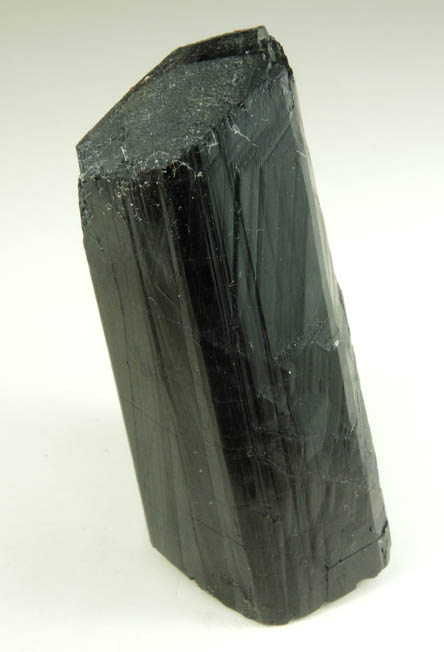 Schorl Tourmaline from Bald Mountain road cut, 9200' elevation, north of Idaho Springs, Clear Creek County, Colorado