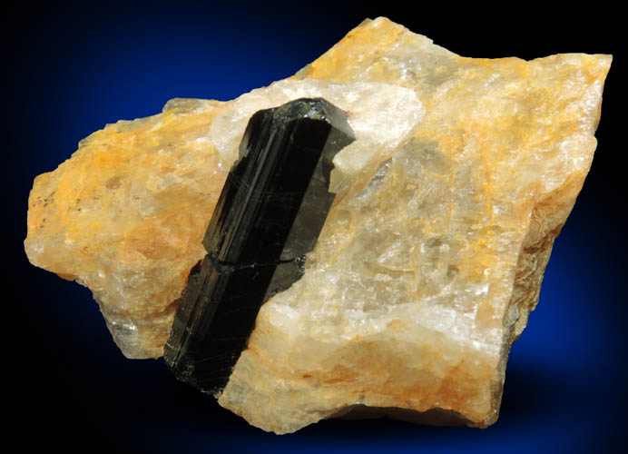 Schorl Tourmaline in Quartz from Bald Mountain road cut, 9200' elevation, north of Idaho Springs, Clear Creek County, Colorado