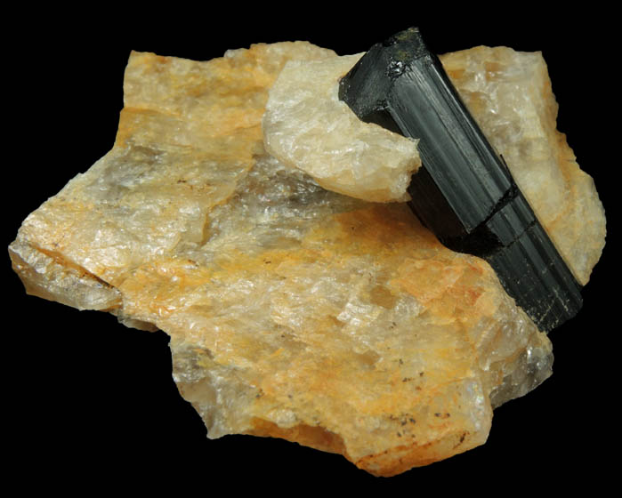 Schorl Tourmaline in Quartz from Bald Mountain road cut, 9200' elevation, north of Idaho Springs, Clear Creek County, Colorado