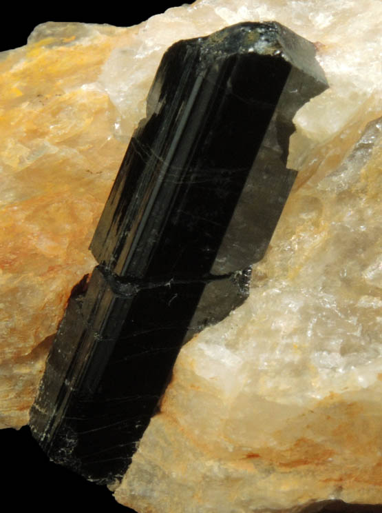 Schorl Tourmaline in Quartz from Bald Mountain road cut, 9200' elevation, north of Idaho Springs, Clear Creek County, Colorado