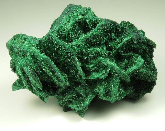 Malachite pseudomorphs after Barite from Mashamba West Mine, 13 km west of Kolwezi, Katanga Copperbelt, Lualaba Province, Democratic Republic of the Congo