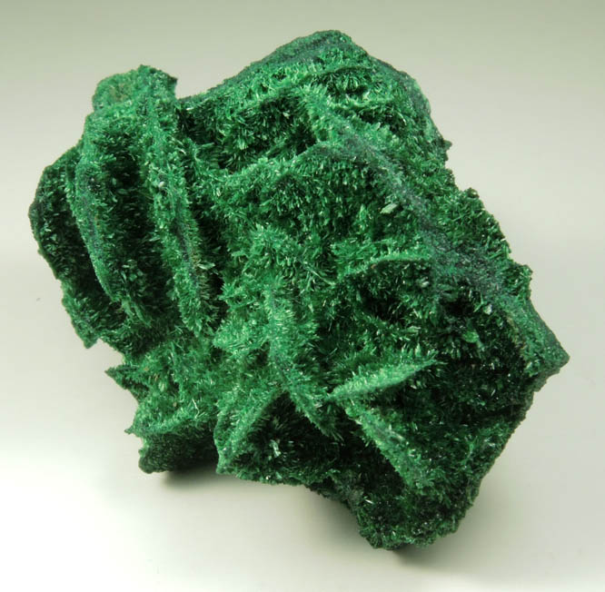 Malachite pseudomorphs after Barite from Mashamba West Mine, 13 km west of Kolwezi, Katanga Copperbelt, Lualaba Province, Democratic Republic of the Congo