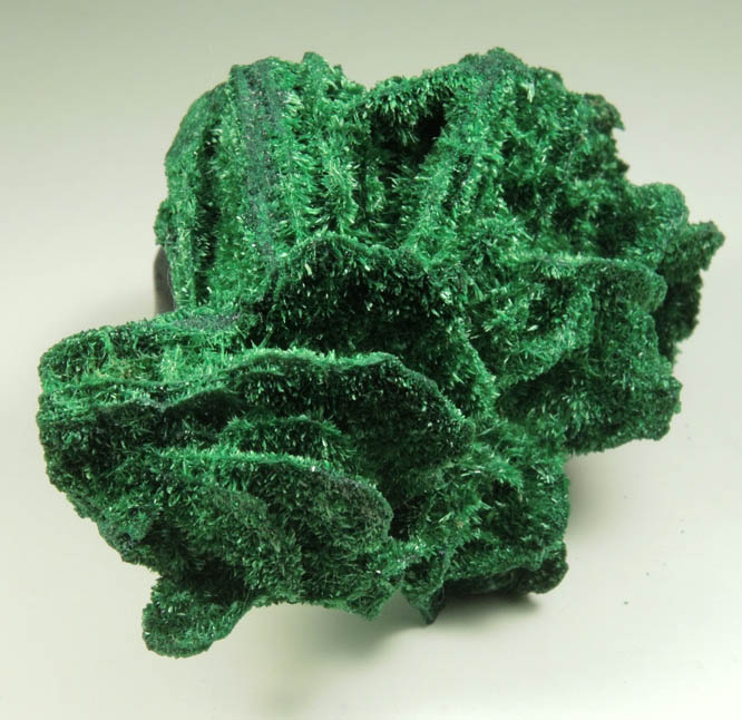 Malachite pseudomorphs after Barite from Mashamba West Mine, 13 km west of Kolwezi, Katanga Copperbelt, Lualaba Province, Democratic Republic of the Congo