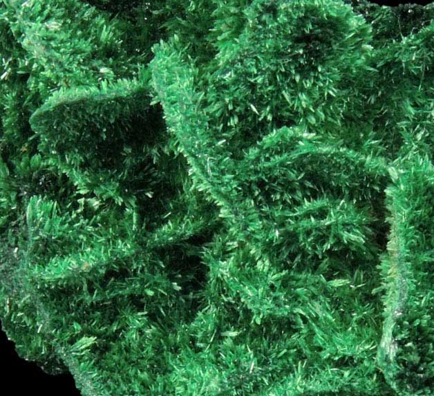 Malachite pseudomorphs after Barite from Mashamba West Mine, 13 km west of Kolwezi, Katanga Copperbelt, Lualaba Province, Democratic Republic of the Congo