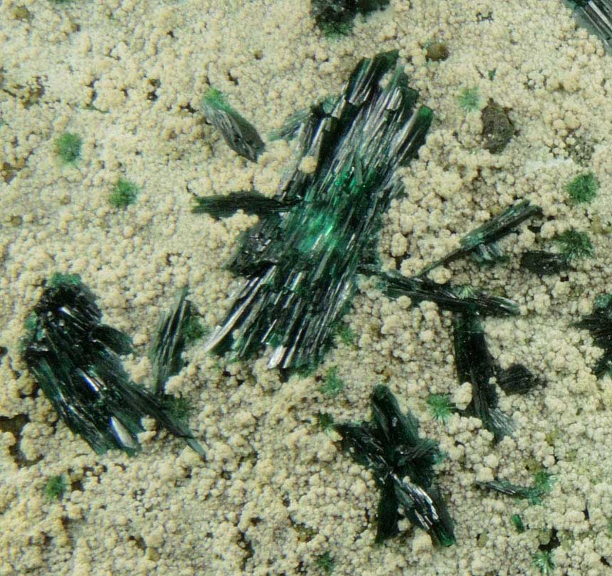 Atacamite, Chrysocolla, Halloysite from Mina la Farola, Copiapo, Atacama Desert, Chile (Type Locality for Atacamite)