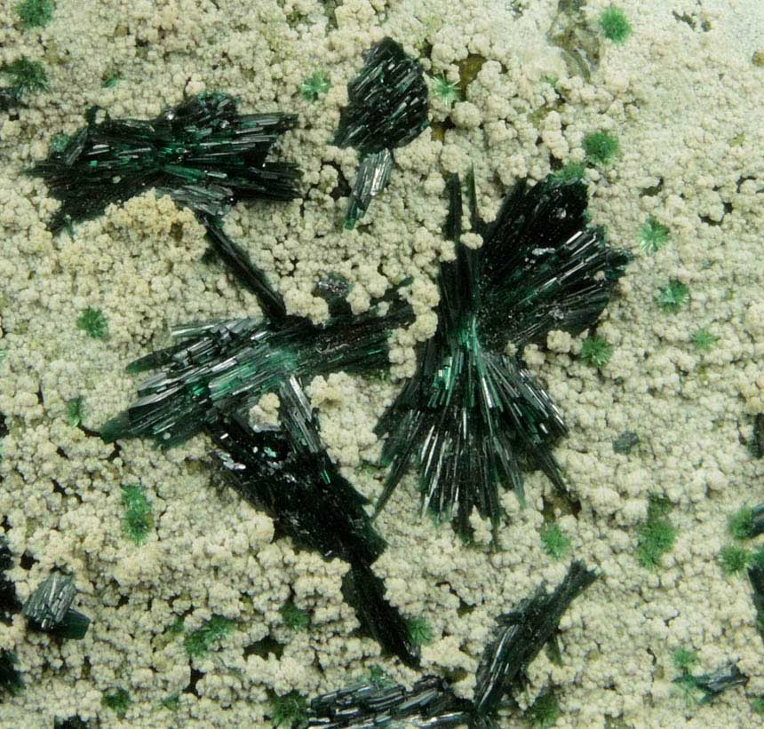 Atacamite, Chrysocolla, Halloysite from Mina la Farola, Copiapo, Atacama Desert, Chile (Type Locality for Atacamite)