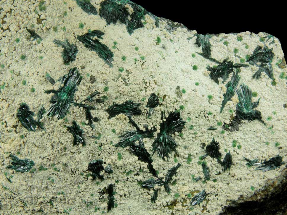 Atacamite, Chrysocolla, Halloysite from Mina la Farola, Copiapo, Atacama Desert, Chile (Type Locality for Atacamite)